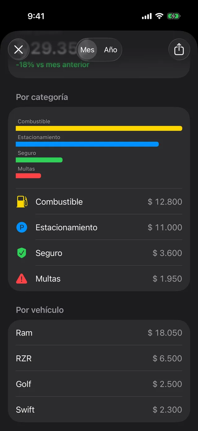 Los gastos del mes por categoría y por vehículo